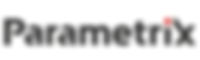 Parametrix logo