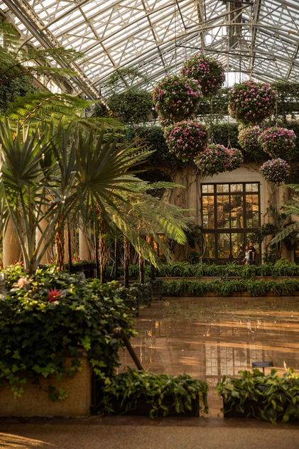 210806_LongwoodGardens_11.jpg