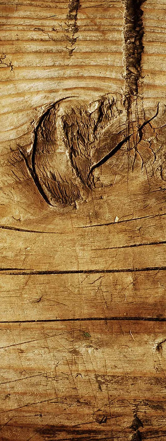 Old Wood