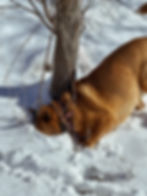 22-IMG_1297