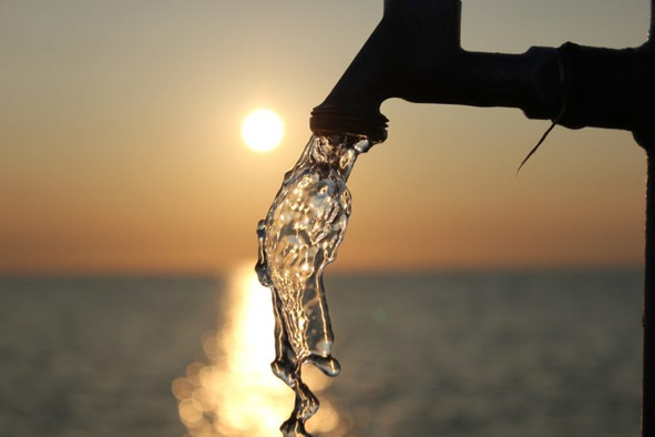 Jan 31st Whidbey Water Keepers Celebration