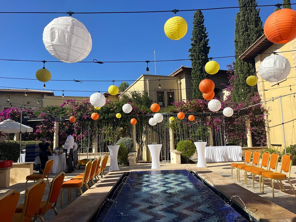 Indian Weddings Paphos Cyprus