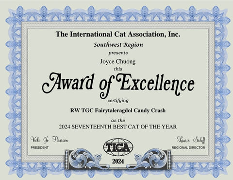 Championship Breeder Ragdoll Cattery Kittens | Los Angeles | FairyTailRagdol