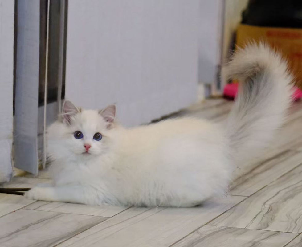 图片_20260107203526_263_66