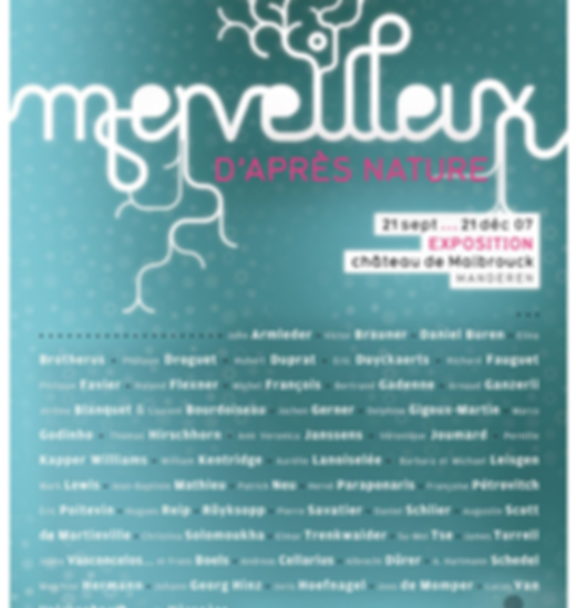merveilleux.bmp