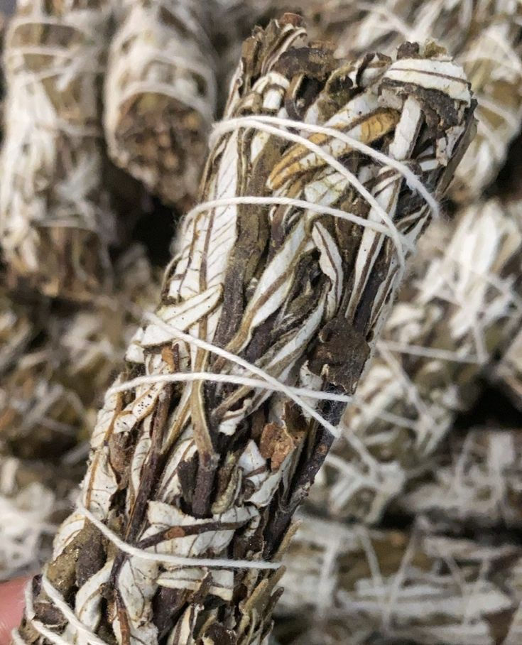 Thumbnail: Organic Yerba Santa 4''inch Stick