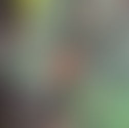 サバイバル選手権