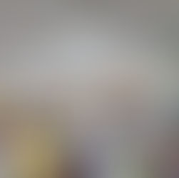 日本一の駄菓子屋さん