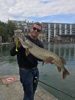brochet bassin.jpeg