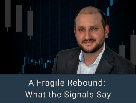 Nico's Weekly Insights - A Fragile Rebound: Reading the Signals from a Roller-Coaster Week