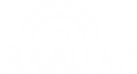 Logo Braun High Performance für Holz