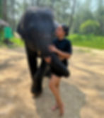 Travel, adventure, wildlife, elephant, girl, holiday memory