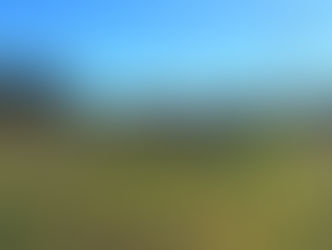 健康と美しさ、さらに長寿をもたらすNZ産牛肉の秘密とは!