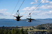 zipline.jpeg