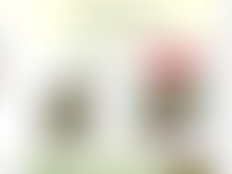 木樽が育てた、ふるさとの味。　四斗樽用 高菜漬の素