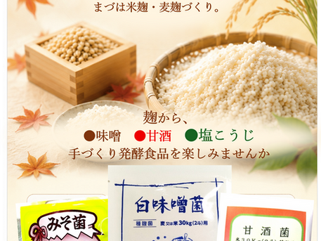 種麹菌から、麹づくりが始まります。