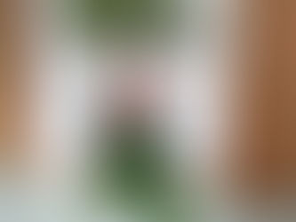 ベンジャミンに実がなりました。