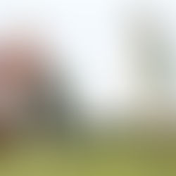 Taking a course of golf lessons can be beneficial for several reasons: