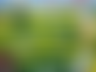 Swing, Learn, Have Fun! Junior Golf Lessons 2026 at Castlegregory GC – Small groups, big progress. Book online today!