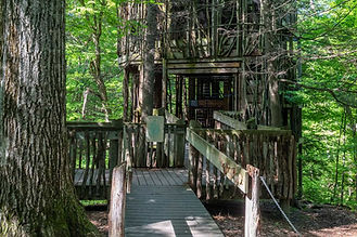 Cayuga-Nature-Center-4530-2.jpg