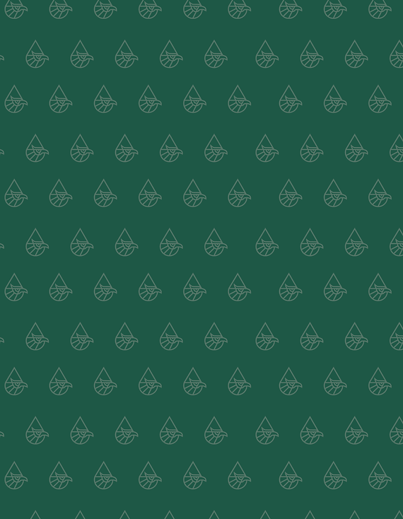 Textura Verde Opacidad 25 LA VERDE.png