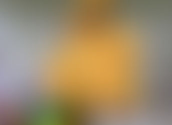 Talks from The Night of Champions, 2025