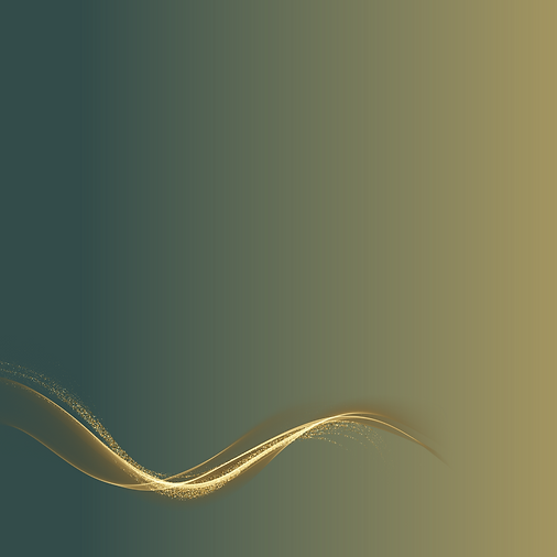 modelos insta revista 2024.png