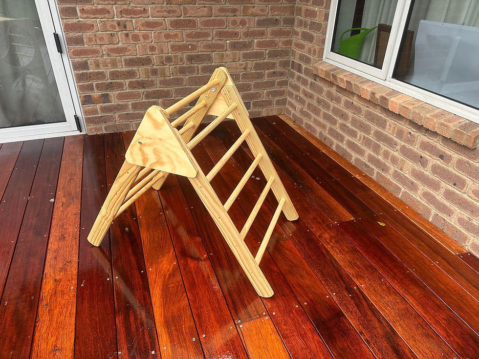 Thumbnail: Large Pikler Triangle and Slide Combo