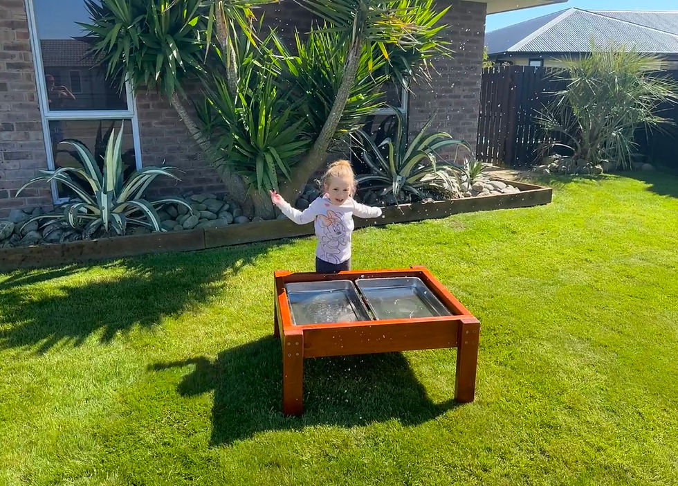 Thumbnail: Large dual Stainless Steel Water/Discovery table