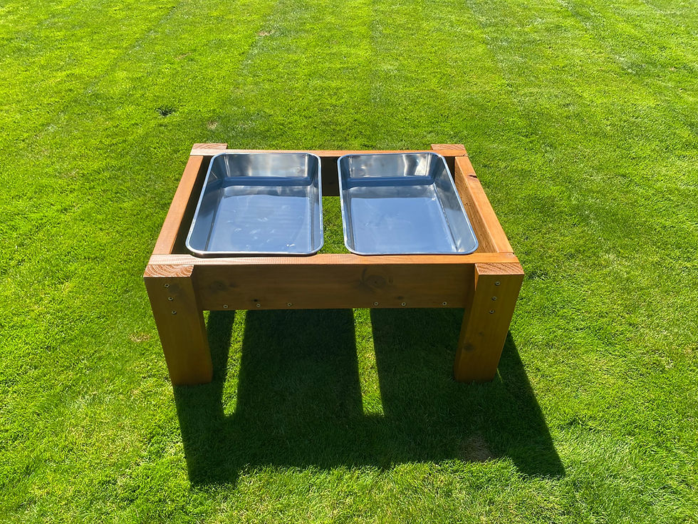 Thumbnail: Large dual Stainless Steel Water/Discovery table