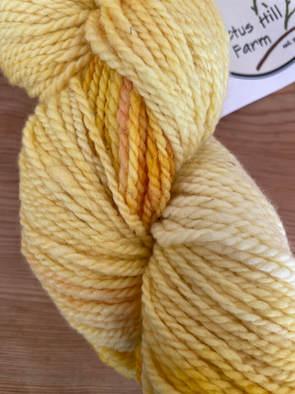 Thumbnail: light yellow merino worsted yarn skein closeup