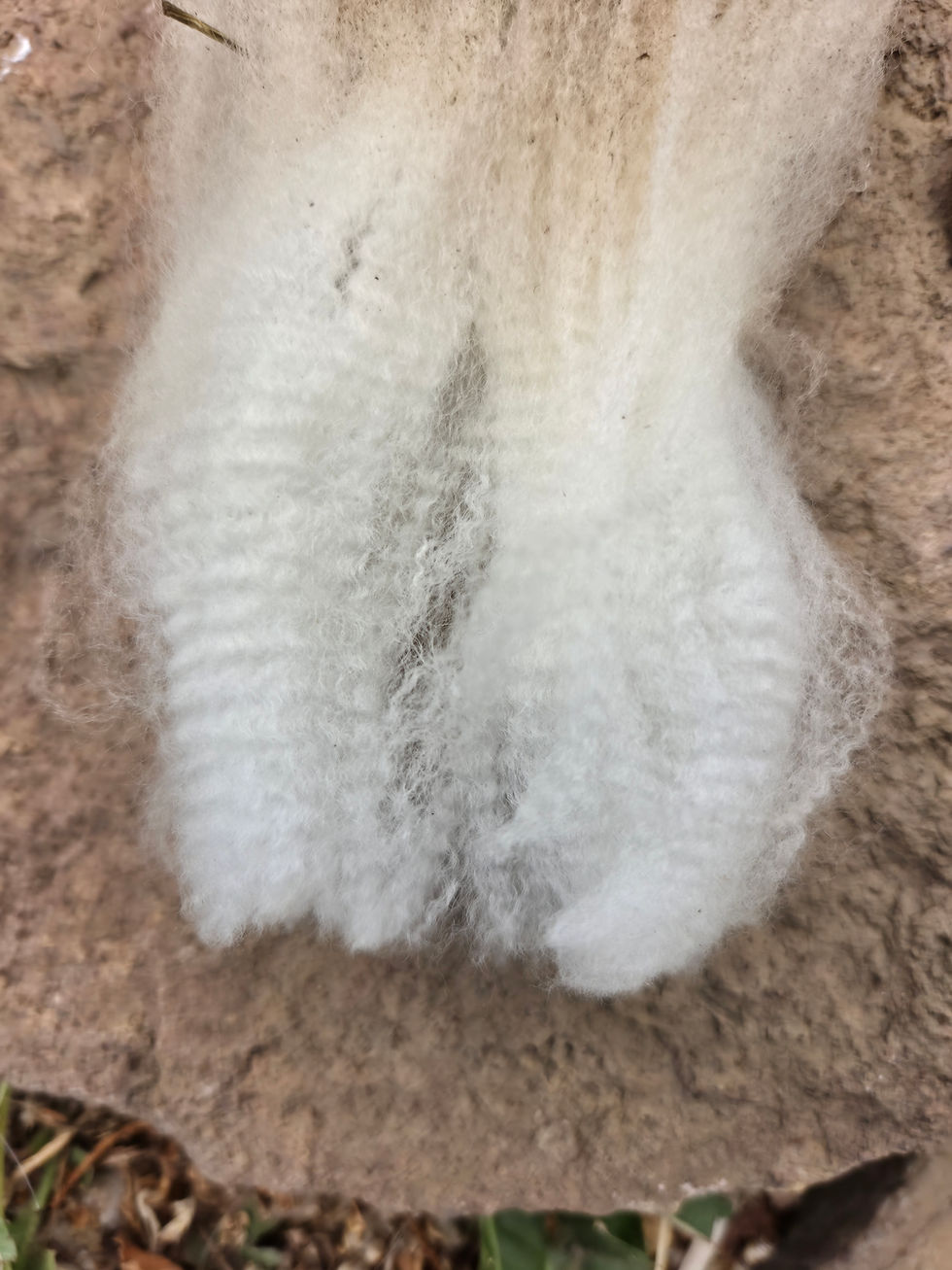 Thumbnail:  #0087 Merino Fleece *1 lb*