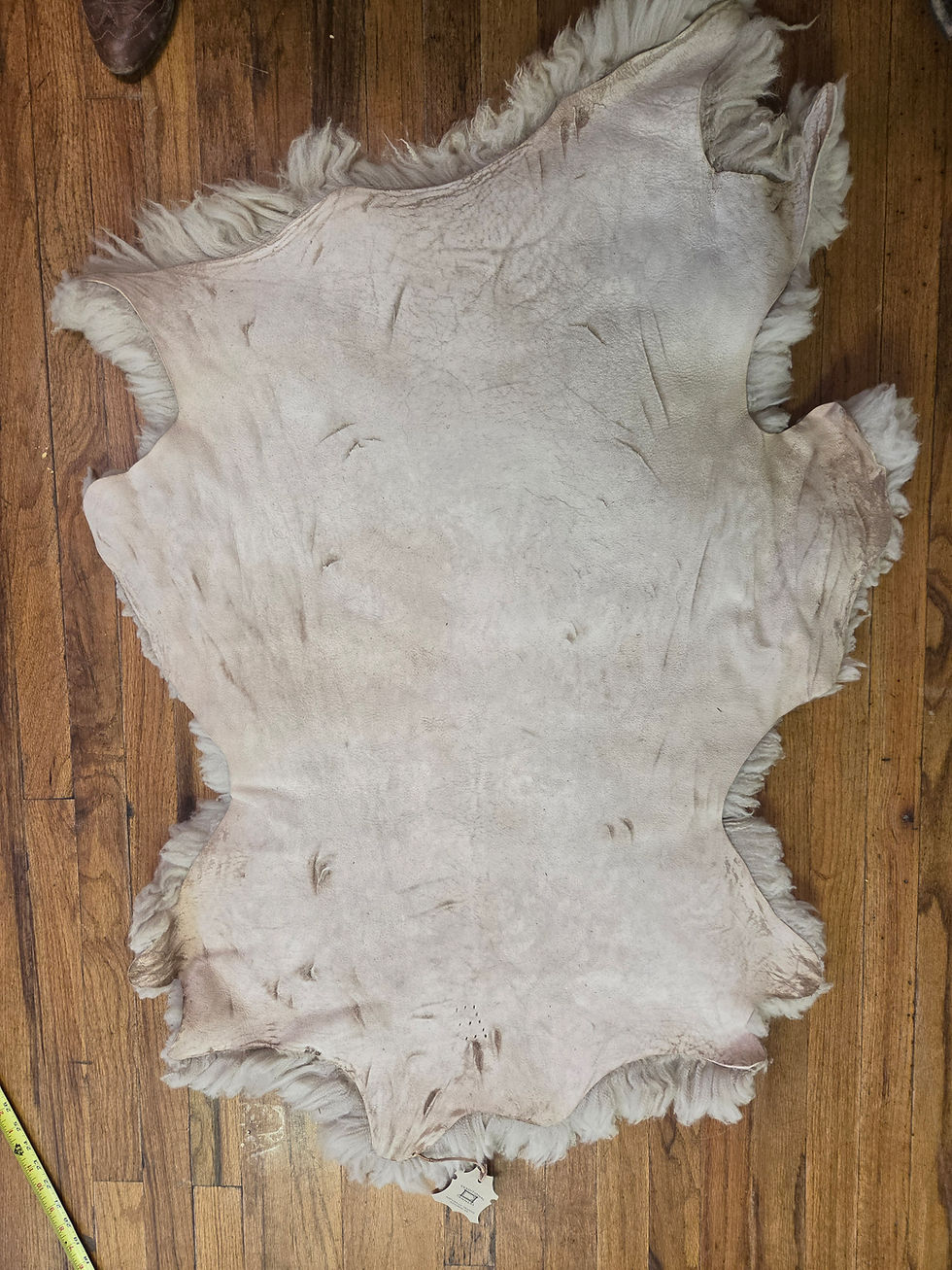 Thumbnail: Merino Lamb Pelt C4