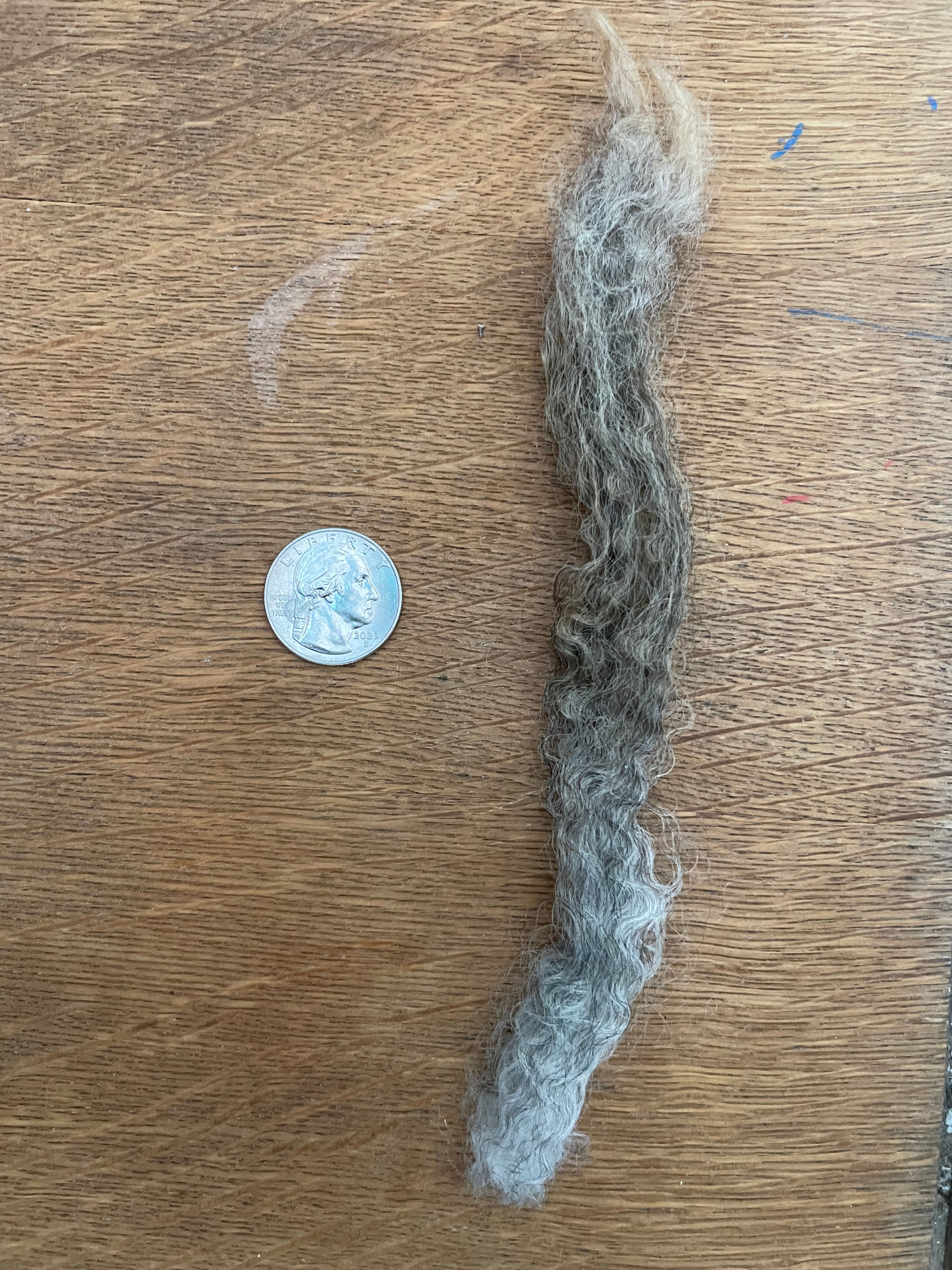 *1 lb* #4157 BFL Cross Fleece