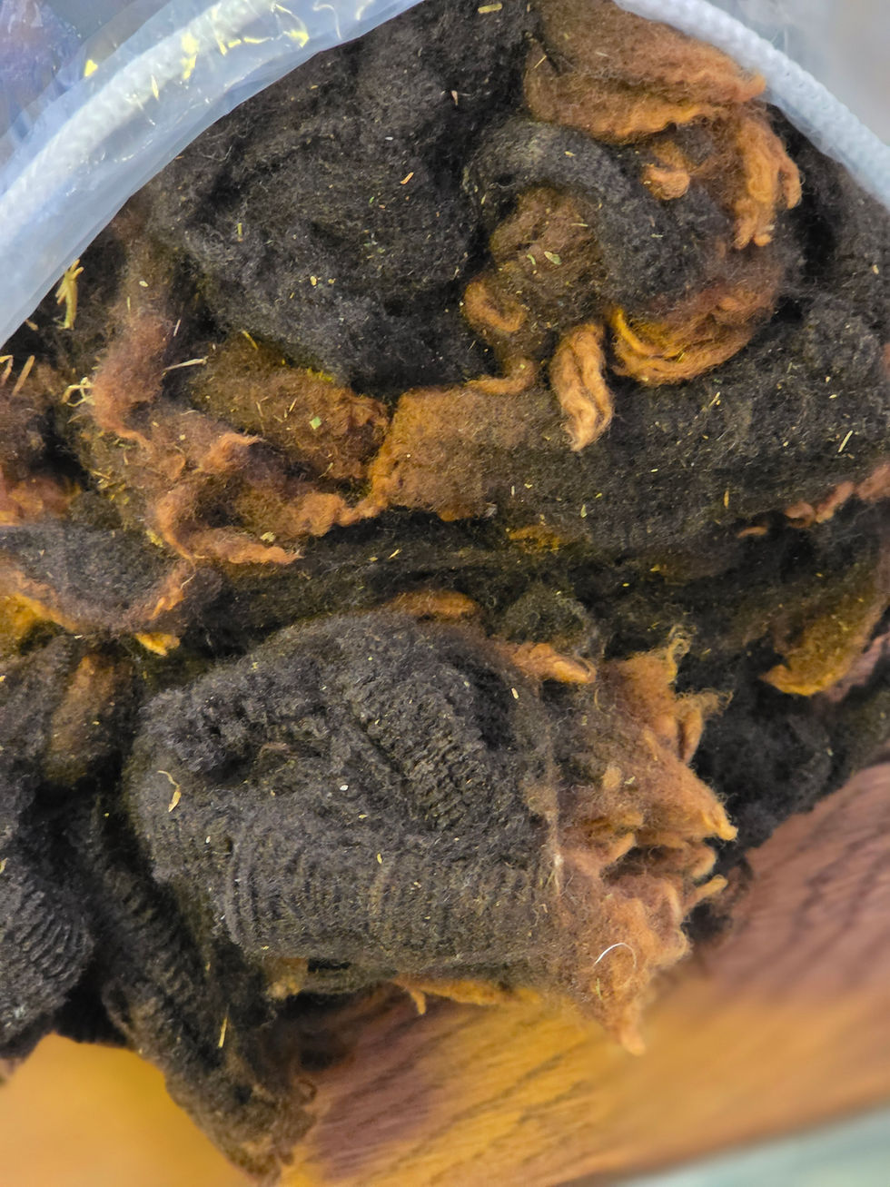 Thumbnail: #4356 Merino Lamb Fleece *1 lb*