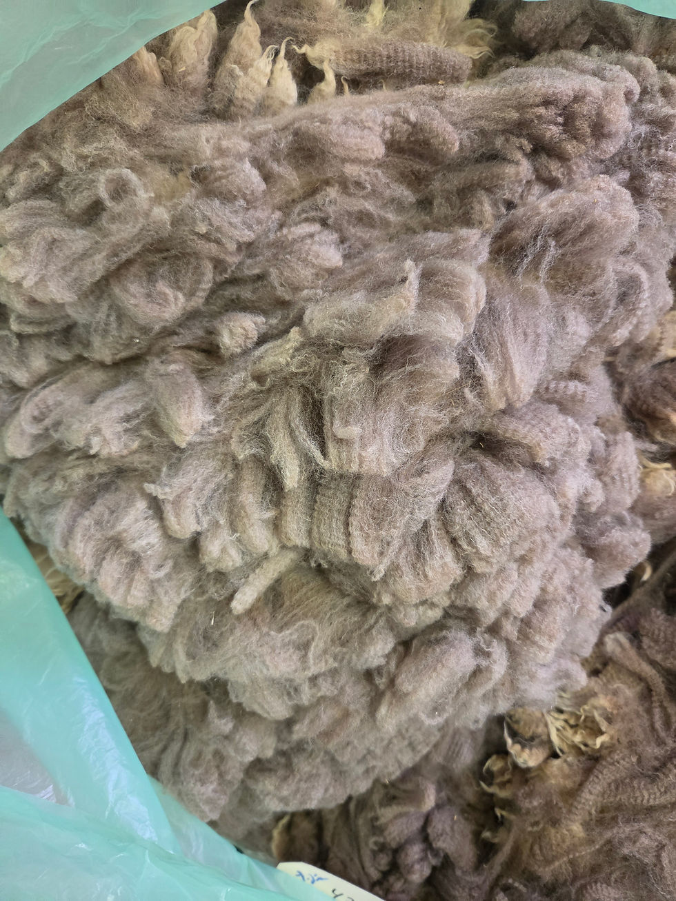Thumbnail: #5112A Merino Lamb Fleece *6.5 lbs*
