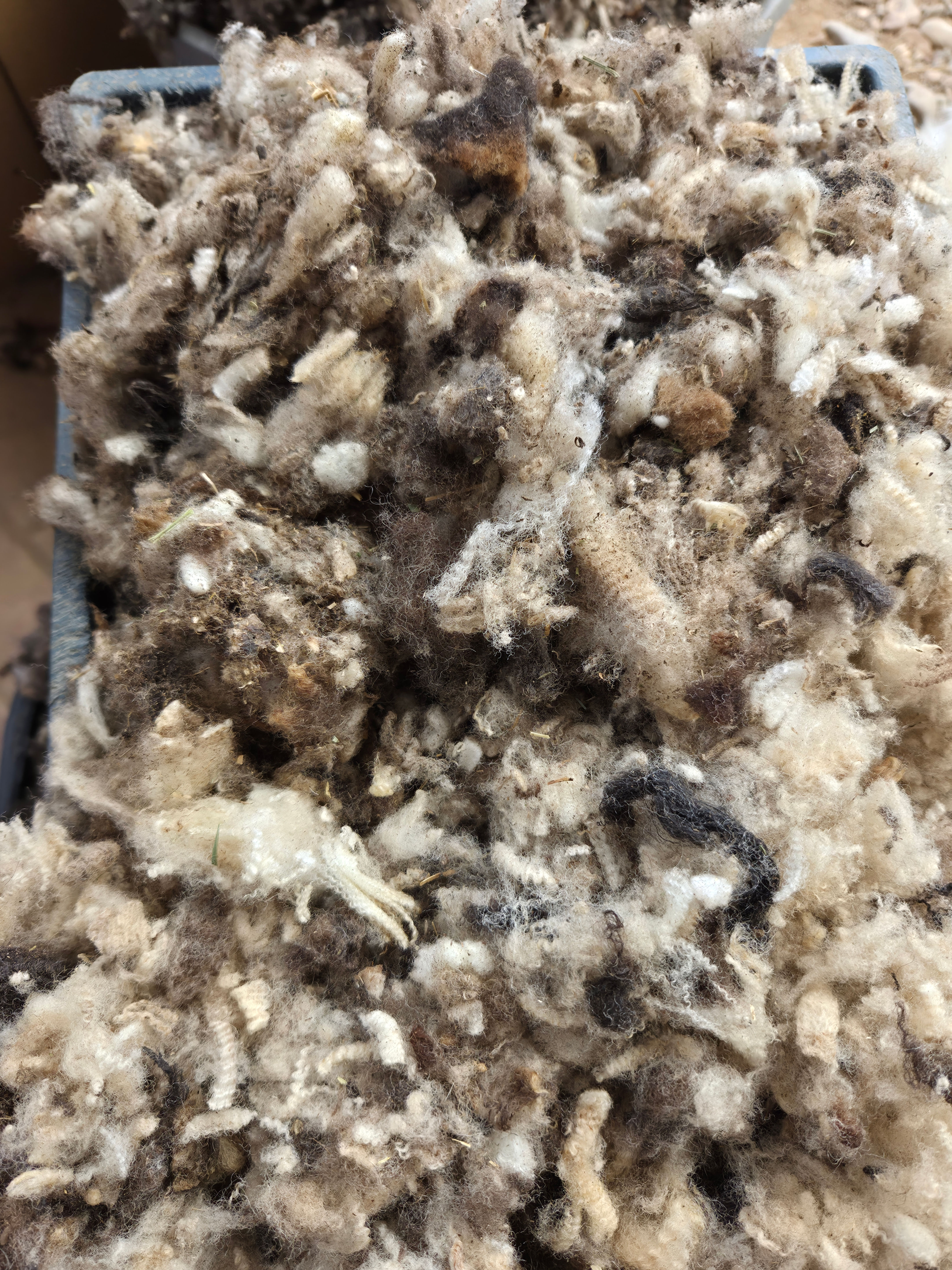 Shredded Wool