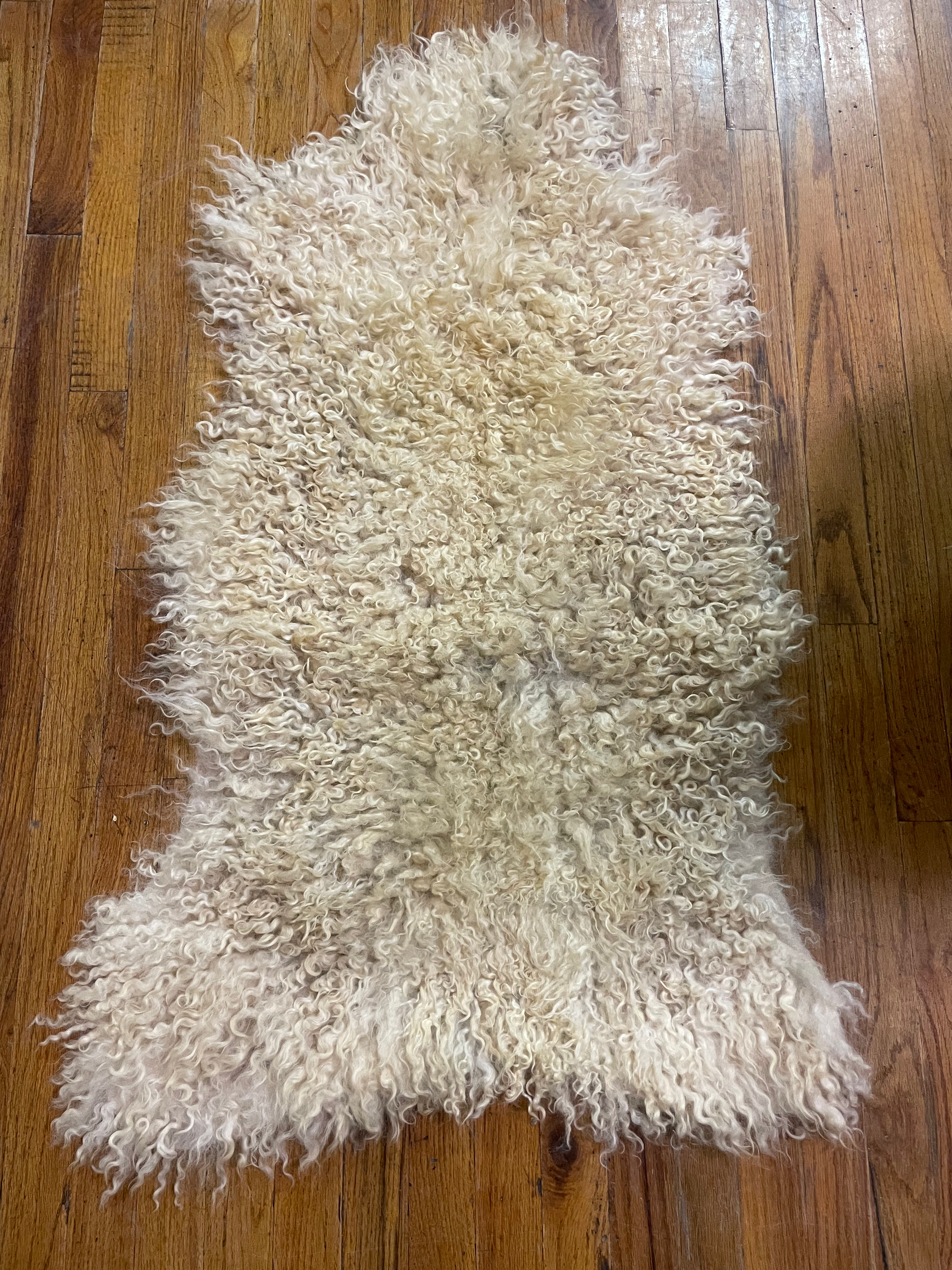 Teeswater Lamb Pelt S