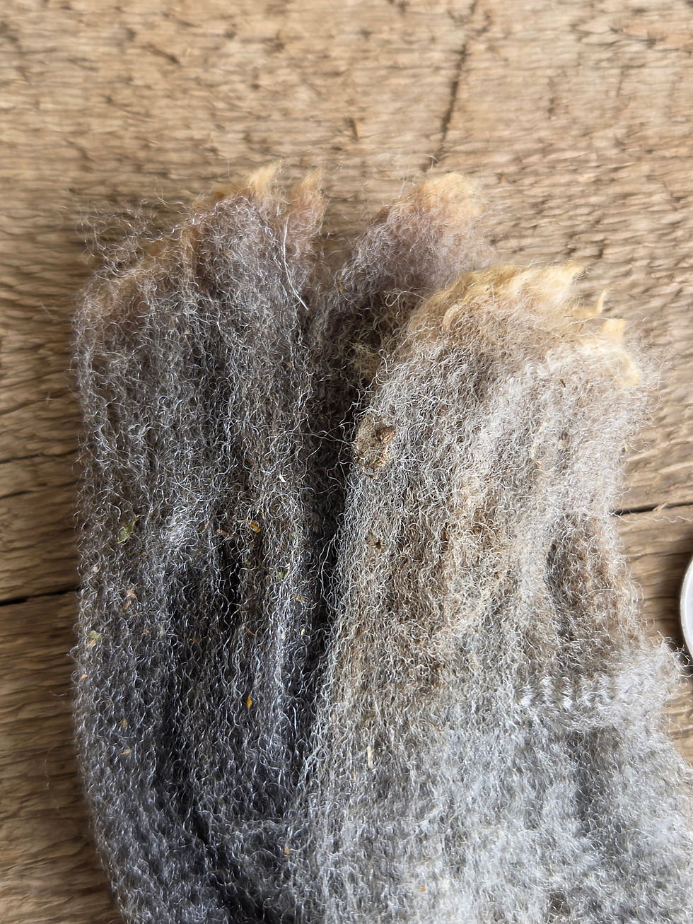 Thumbnail: #303 CVM/Merino Fleece *1 lb*