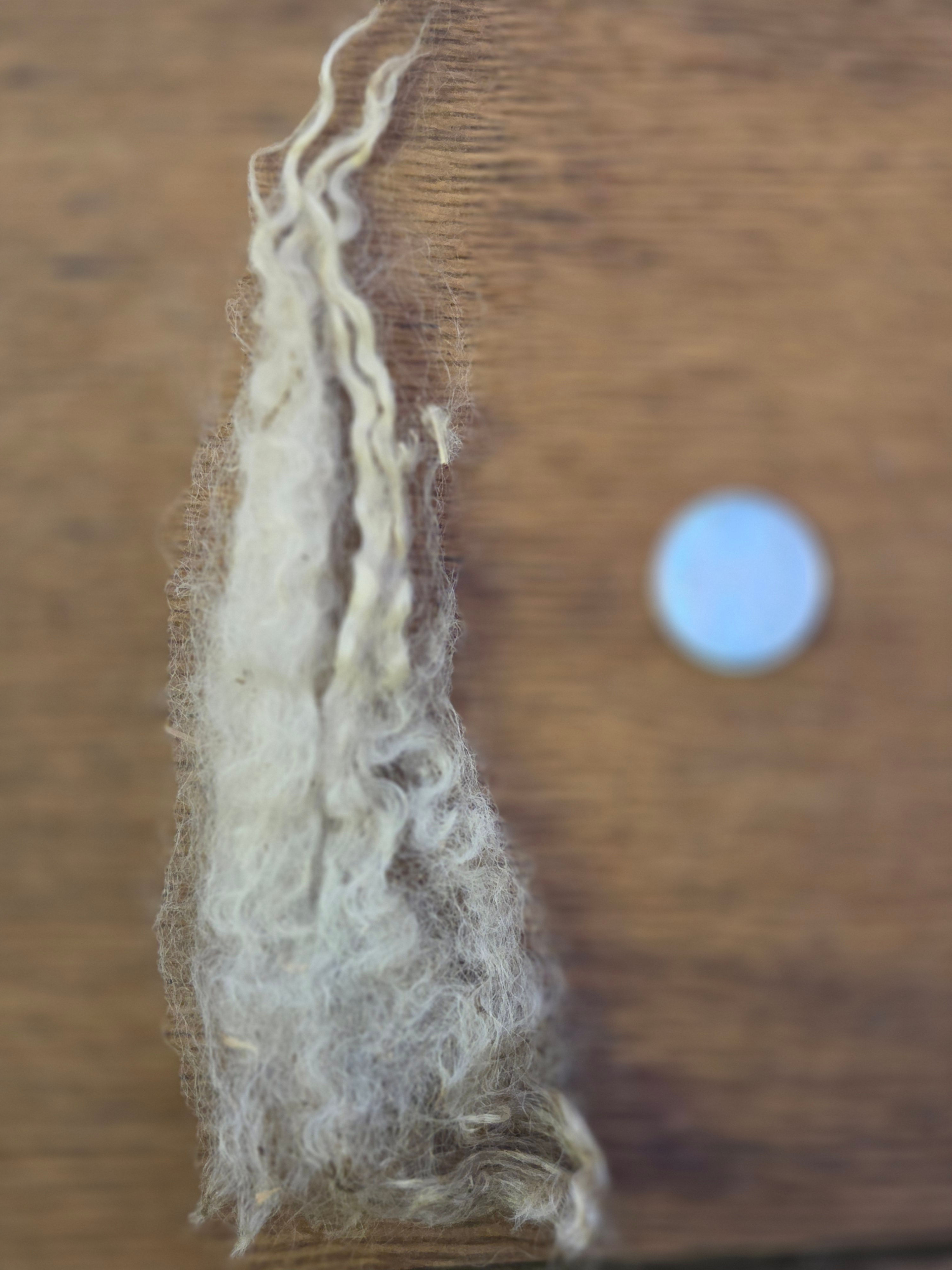 #4284 BFL/Wensleydale Ewe Fleece *1 lb*