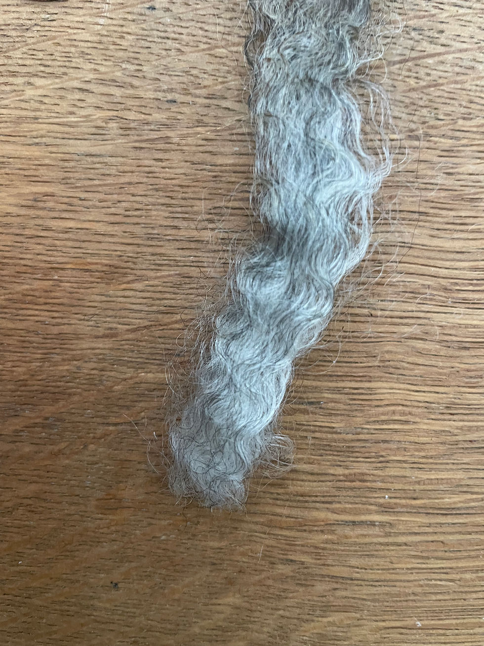 Thumbnail: *1 lb*  #4157 BFL Cross Fleece