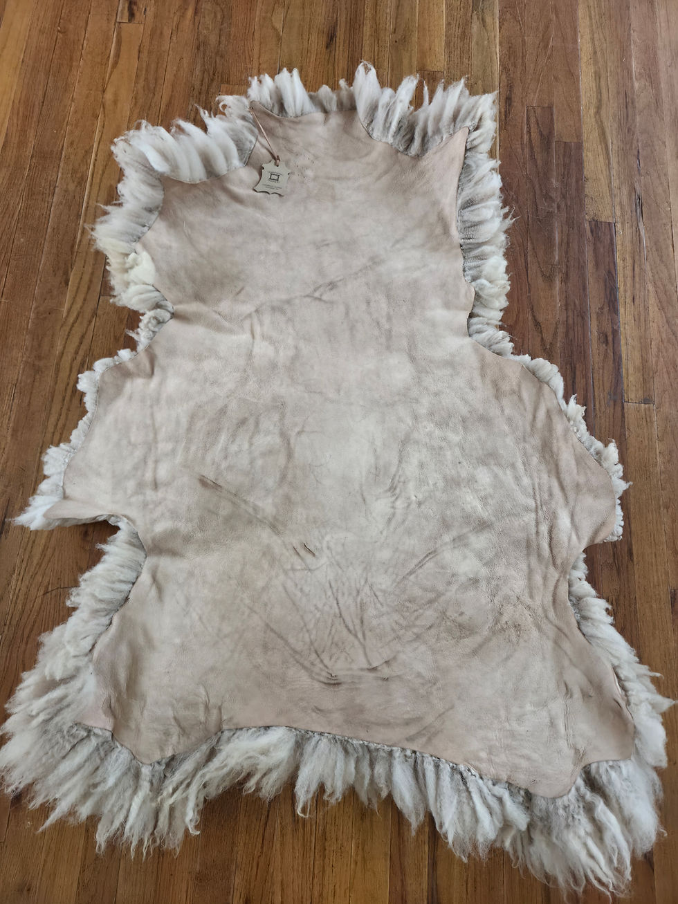 Thumbnail: Wensleydale Pelt D3
