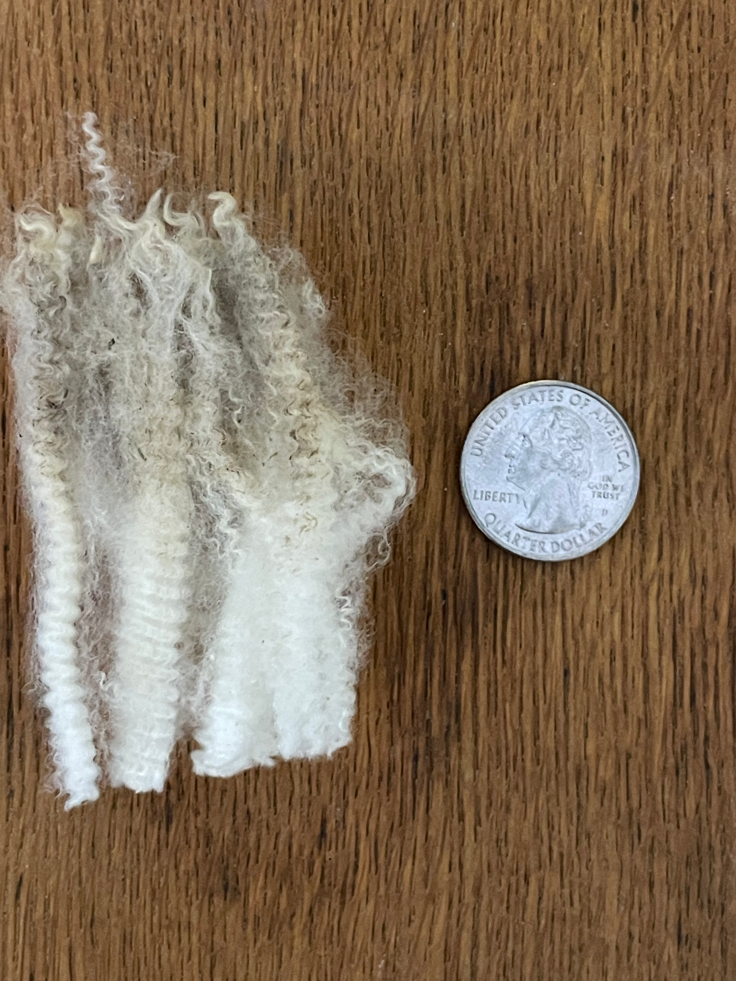 *1 lb* Merino Lamb Fleece 