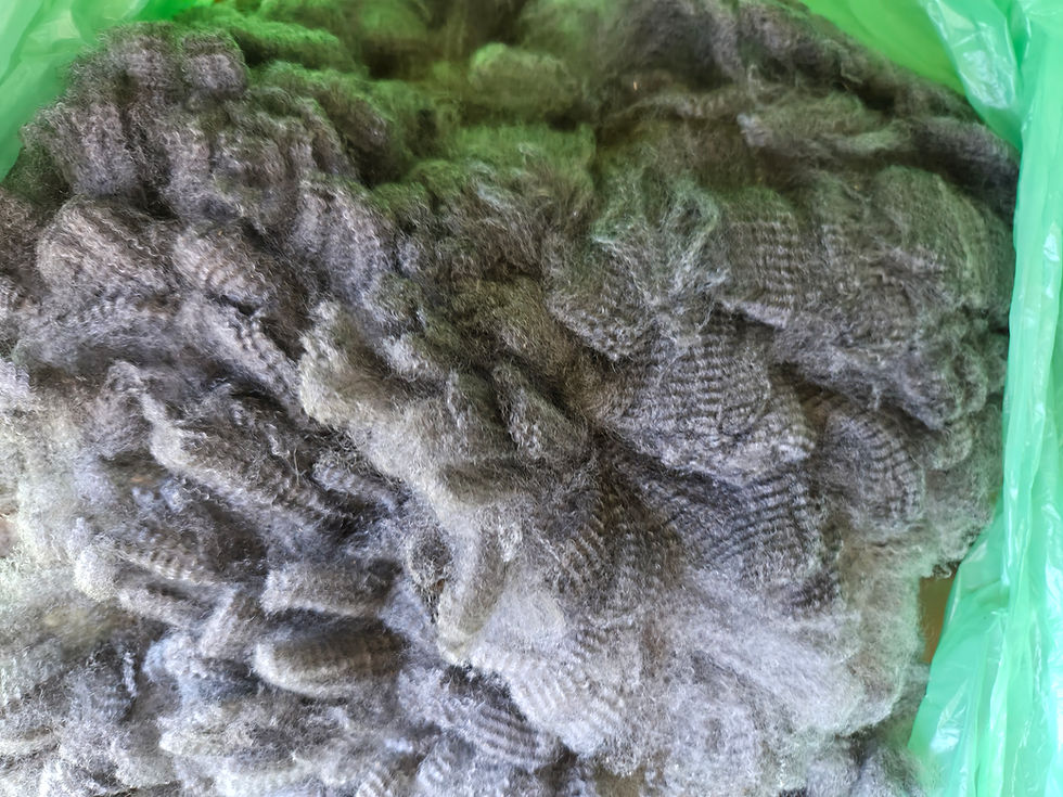 Thumbnail: #1110 CVM/Wensleydale Ewe  *7 lbs.*