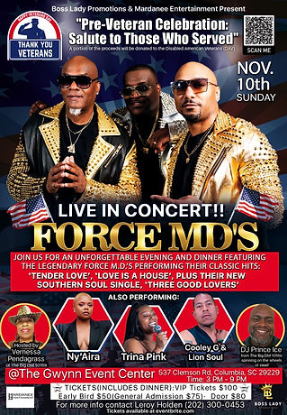 Force mds veterans day flyer 2024.jpeg
