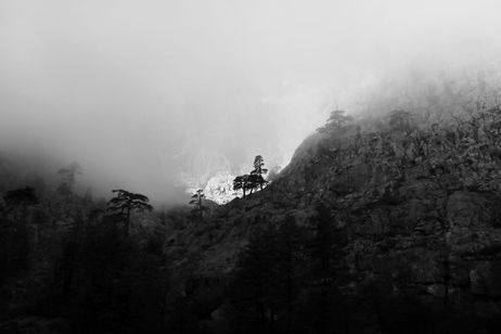 Corsica 1