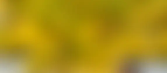 The Best Place for a Last-Minute Thanksgiving? 