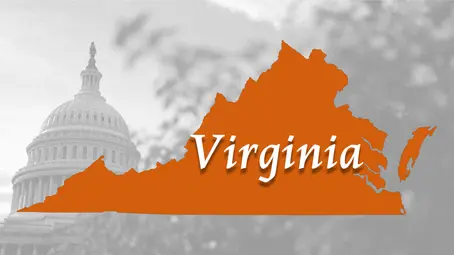 Sister District Plans Major Campaign for a Blue Virginia