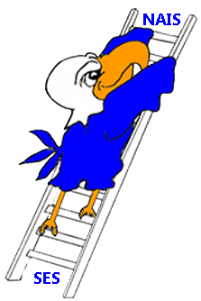 Eagle climbing ladder from SES to NAIS