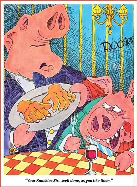 Playboar Cartoon